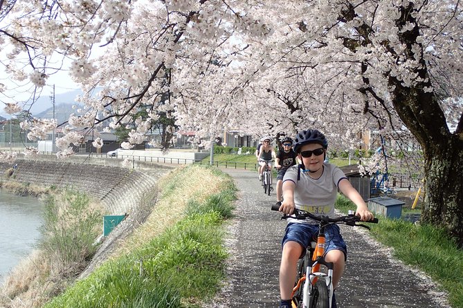Private Afternoon Cycling Tour in Hida-Furukawa - Tea-and-biscuit breaks and market time that does not feel staged