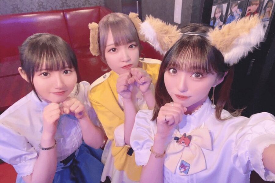 Private Akihabara Anime Game Maid Cafe Tour w/ free pickup - Key highlights that matter
