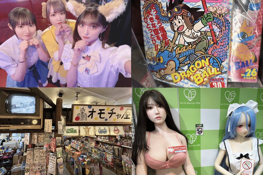 Private Akihabara Anime Game Maid Cafe Tour w/ free pickup - Akihabara Game, Anime, Manga, and Retro Finds with a Real English Guide