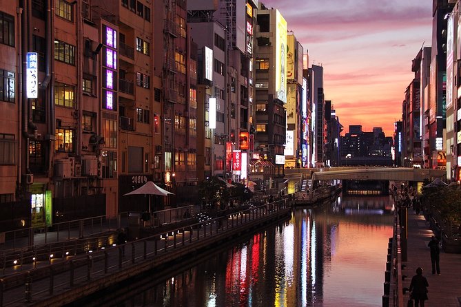 Private Alphard Hire in Osaka city with English Speaking Driver - Your driver as a guide: how the language options change the experience