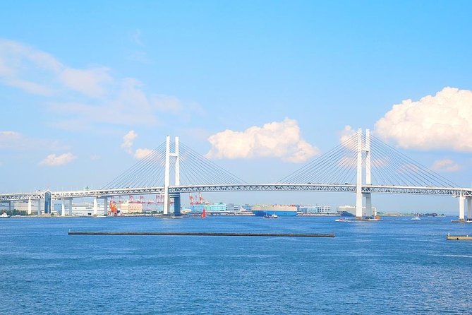 Private Arrival Transfer : Narita International Airport to Yokohama City - Mobile ticket, sign-on details, and getting help when plans wobble