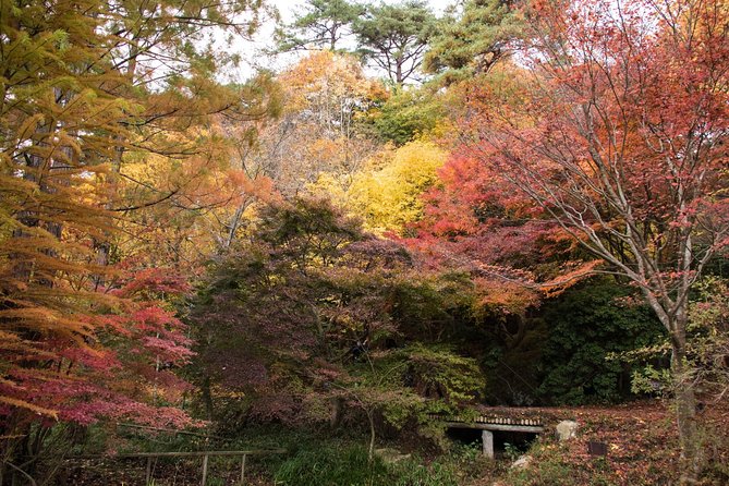Private Car Day Trip to the Kobe Mountains, Gardens and Hot Springs from Osaka - Kobe Municipal Arboretum: A Real Garden Walk Above the City