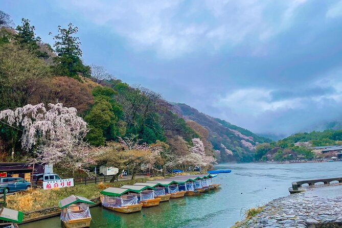 Private car tour Let's uncover secrets of majestic Kyoto history - Monkey Park Iwatayama: city views plus a dessert break