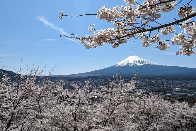 Private Car Tour to Mt. Fuji Lake Kawaguchiko or Hakone - Key things that make this day trip tick