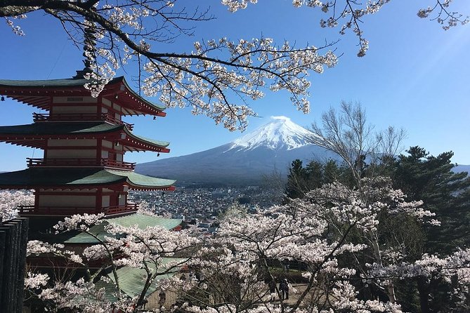 Private Car Tour to Mt. Fuji Lake Kawaguchiko or Hakone - Mt. Fuji side: Arakura Sengen, Chureito Pagoda, and Lake Kawaguchiko views