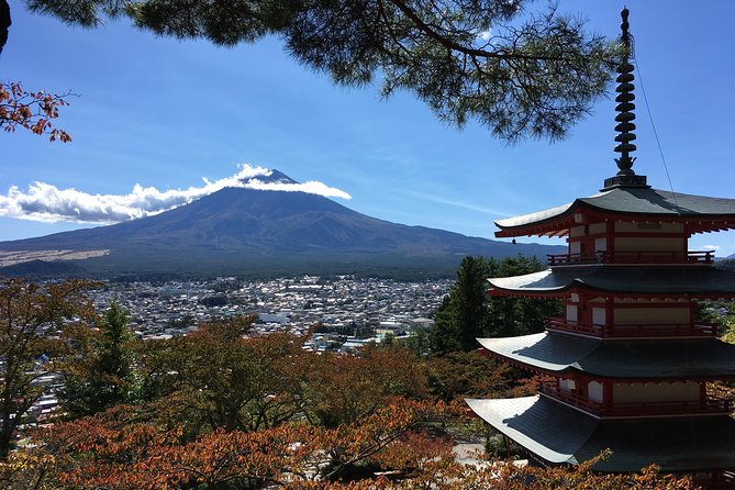 Private Car Tour to Mt. Fuji Lake Kawaguchiko or Hakone - From Oshino Hakkai to music, ninja, and caves
