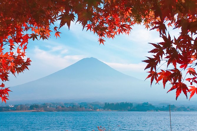 Private Car Tour to Mt. Fuji Lake Kawaguchiko or Hakone - Seasonal add-ons: 5th Station, lavender, shibazakura, fruit, and winter fun