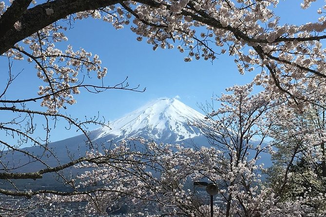 Private Car Tour to Mt. Fuji Lake Kawaguchiko or Hakone - Practical notes that help your day run smoothly