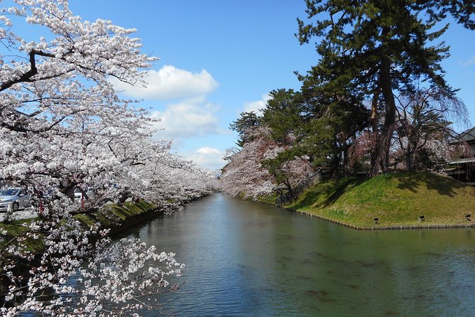Private Cherry Blossom Tour in Hirosaki with a Local Guide - Sakura Tunnel and festival season details, from day views to night illuminations