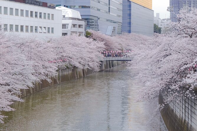 Private Custom Tour: Tokyo in a Day - Public transit versus private vehicle: pick based on your body, not the brochure
