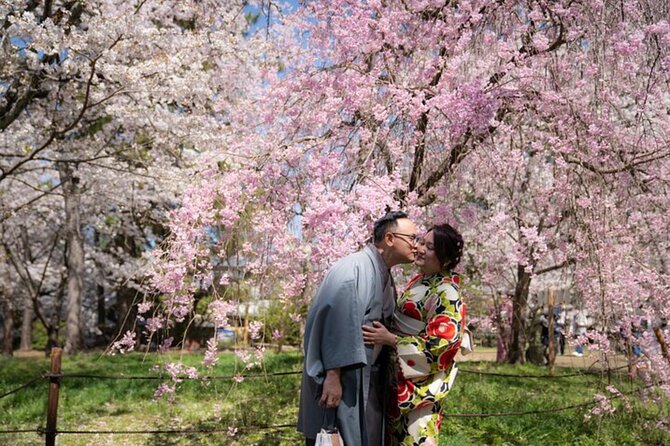 Private Customized Tour with Local Guide In Kyoto - Key highlights you will feel right away