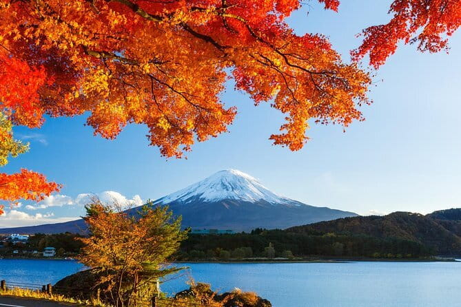 Private Fuji Full-day Car Tour with Hotel Pickup -Local Guide - Oshino Hakkai and Lake Kawaguchiko: two ways to see Fuji water