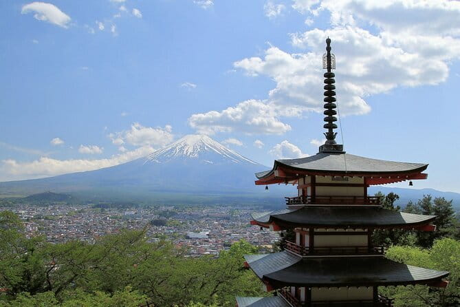 Private Fuji Half-day Car Tour with Hotel Pickup and Local Guide - Narusawa Ice Cave and Shiraito Falls Options for a More Nature-Forward Day