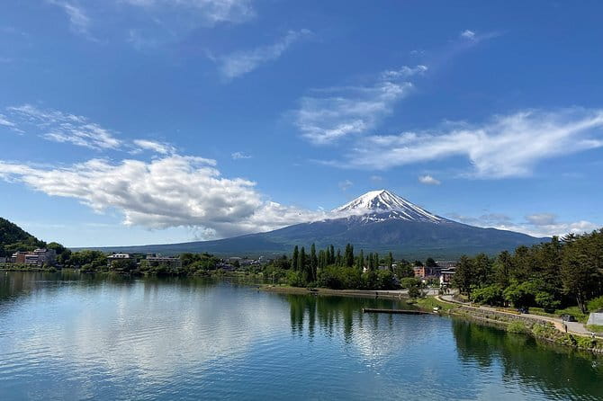 Private Fuji Half-day Car Tour with Hotel Pickup and Local Guide - How to Choose Your Best 3-4 Stops (So You Don’t Feel Rushed)