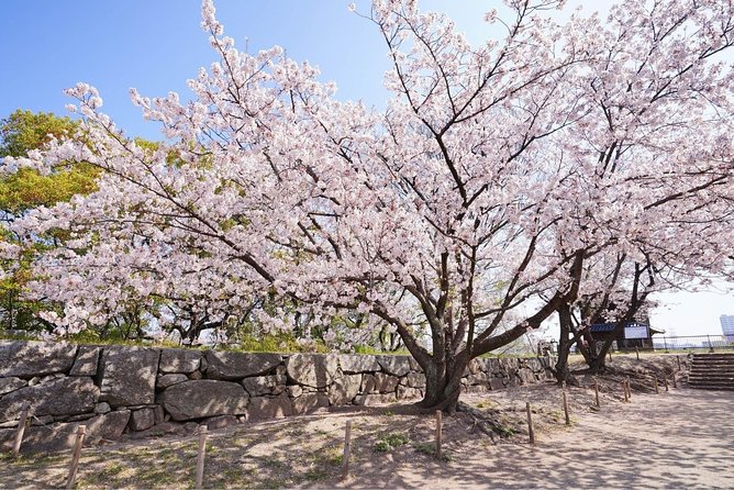 Private Fukuoka Tour with a Local, Highlights & Hidden Gems 100% Personalised - What makes the itinerary feel personal (not generic)