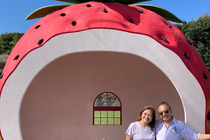 Private Full Day Tour from Fukuoka to Nagasaki - Fruits Bus Stop and Spectacles Bridge: playful stops that break the day up