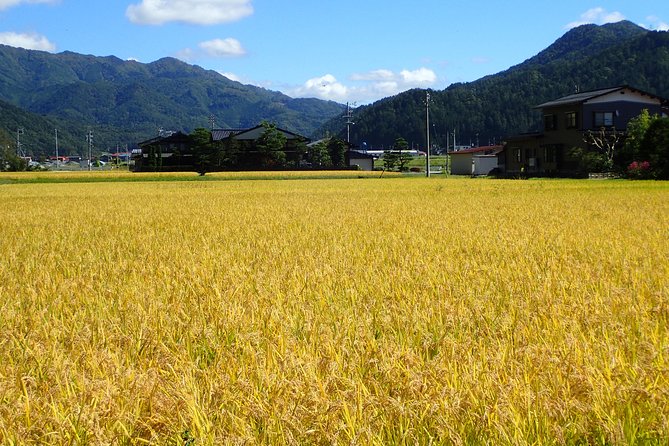 Private-group Morning Cycling Tour in Hida-Furukawa - Entering the satoyama farming villages: wooden houses, rice paddies, and mountain views