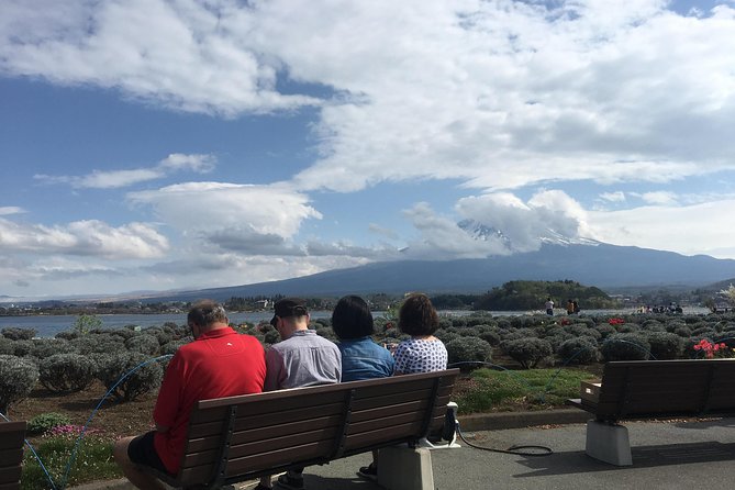 Private guided hidden gems tour by local English speaking driver - Who this tour is perfect for