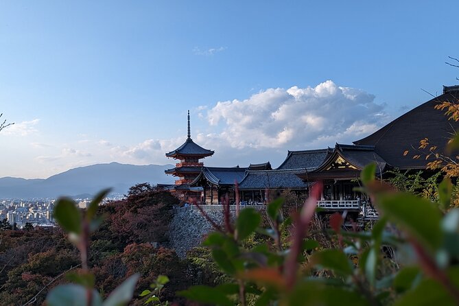 Private Guided Historical Sightseeing Tour in Kyoto - Private Kyoto in 4 hours, built for first-timers and busy days