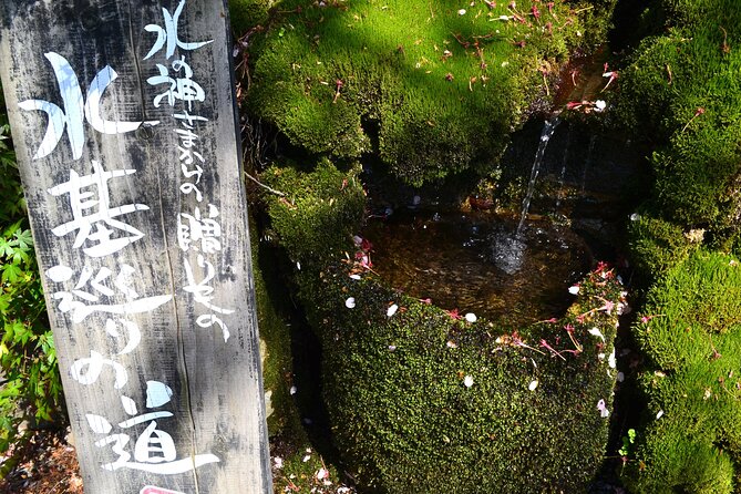 Private guided tour: Mt. Aso volcano, grasslands, Aso Shrine - Monzenmachi and the old monastery feel: walking streets before the crater