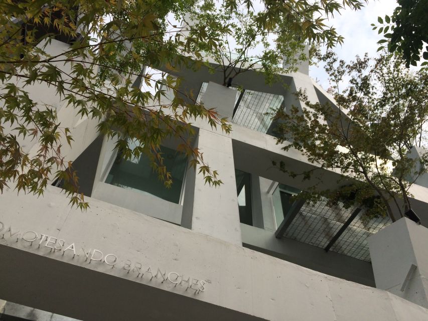 Private Harajuku Omotesando Architecture Tour - Why the guide matters more than you expect