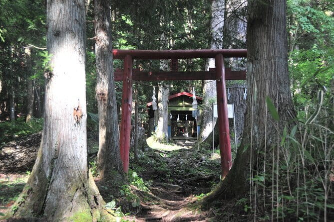 Private Hiking Tour to View Mt. Fuji - Stop for views: Fuji and lakes from the earlier viewpoints