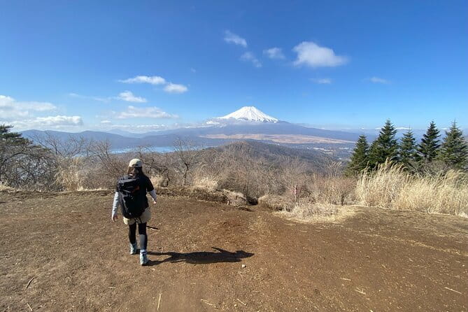 Private Hiking Tour to View Mt. Fuji - Price and value for a private half-day in Fujiyoshida