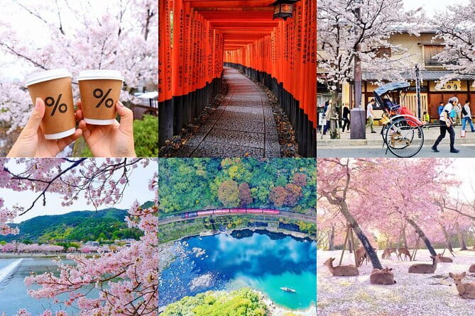 Private Kyoto Customizable Day Tour With English Guide - Key things I’d watch for on this private Kyoto day