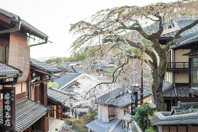 Private Kyoto Customizable Day Tour With English Guide - Kinkakuji Golden Pavilion, plus what the 500 yen fee covers