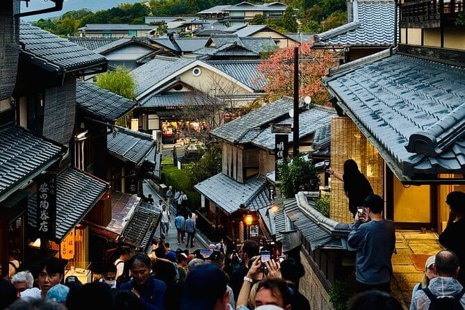 Private Kyoto Customizable Day Tour with English Speaking Driver - 8:30 am start, 8 to 10 hours, and how to pace it