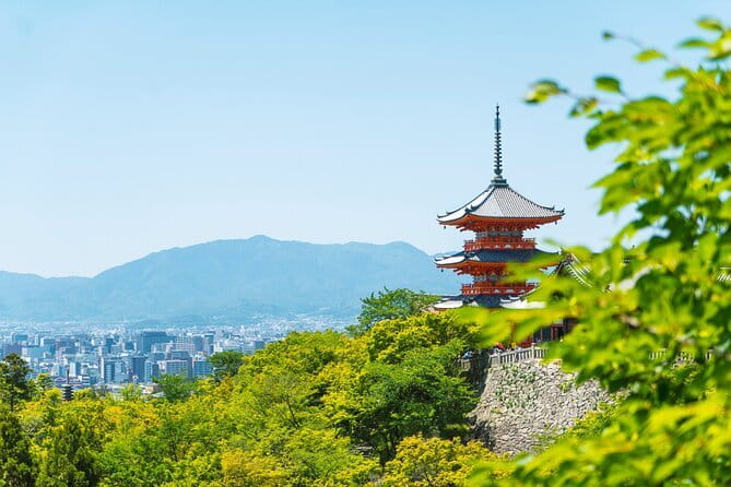 Private Kyoto Customizable Day Tour with English Speaking Driver - Kinkaku-ji Golden Pavilion: a classic for a reason, with only 1 hour