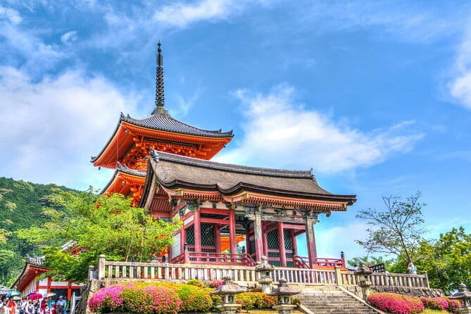 Private Kyoto Customizable Day Tour with English Speaking Driver - Fushimi Inari: the torii gates and the time pressure of 1 hour