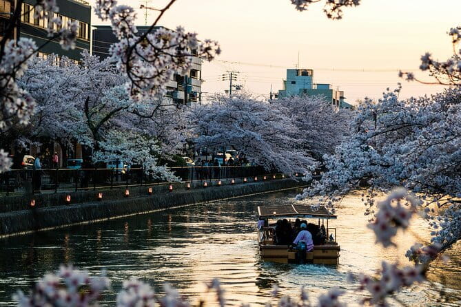 Private Kyoto Customizable Day Tour with English Speaking Driver - Arashiyama bamboo time: 2 hours 30 minutes to do it right