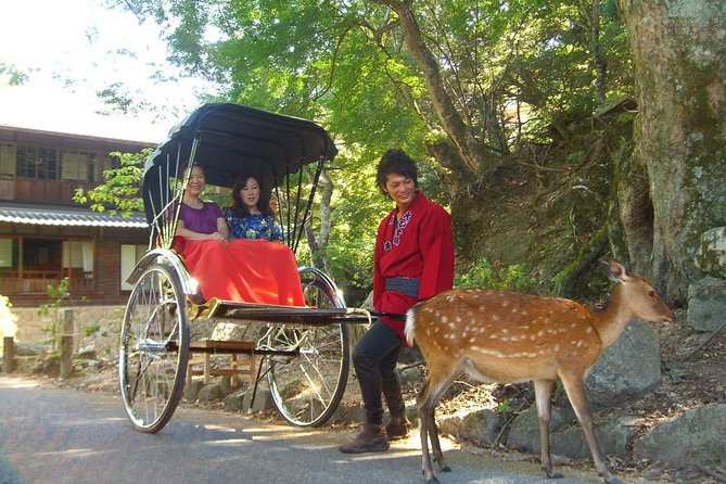 Private Miyajima Rickshaw Tour Including Itsukushima Shrine - The Rickshaw Ride Comfort Rules: Fits, Families, and Big Riders