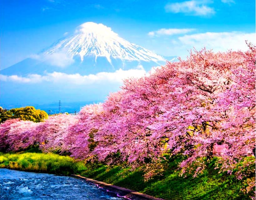 Private Mount Fuji sightseeing Day trip with English Guide - Who This Tour Fits Best (and Who Might Want Another Plan)