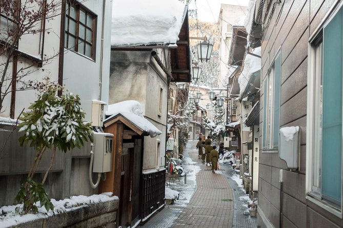Private Nagano 1-Day Tour:Snow Monkeys,Zenko-ji,Obuse,Sake,Onsen - The value in a private day: why this route works