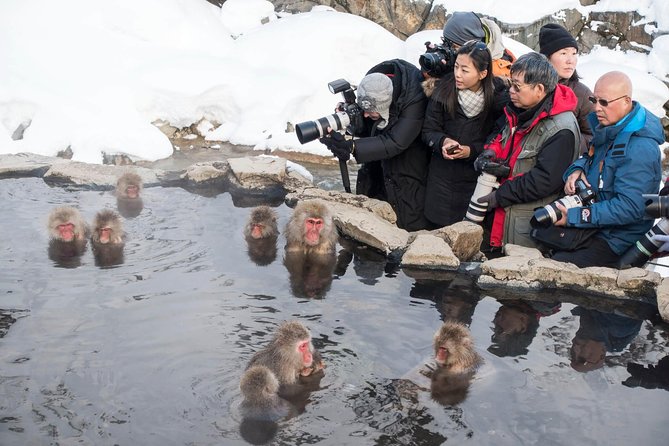 Private Nagano 1-Day Tour:Snow Monkeys,Zenko-ji,Obuse,Sake,Onsen - Price and value: what you are paying for, and what is extra