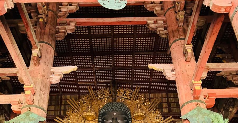 Private Nara Tour from Osaka – Meet at Your Hotel - Himuro Shrine and Yoshikien Garden: Slower Moments After the Big Sights