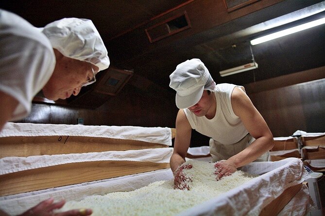 Private Sake Brewery Visit and Tasting Tour in Hida - The five tastings: what you’re really buying with the price