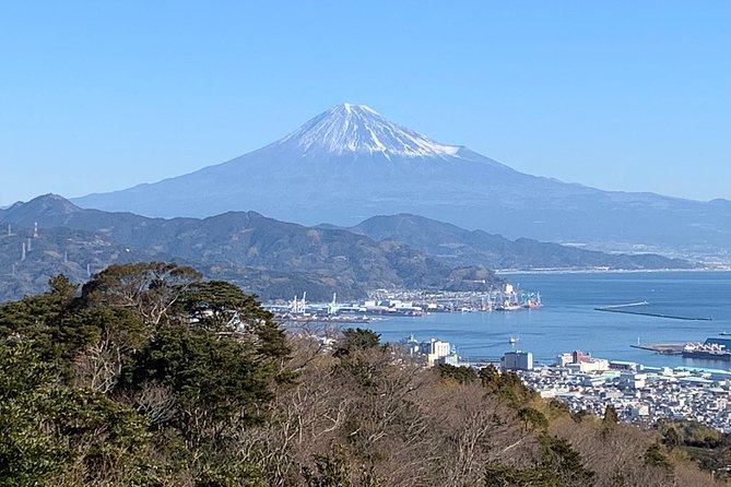 Private sightseeing tour from Shimizu Port / Van Taxi - Private jumbo taxi, not a seat battle at the port