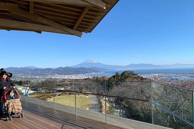 Private sightseeing tour from Shimizu Port / Van Taxi - First transfer: Shimizu Port to Nihondaira in comfortable time