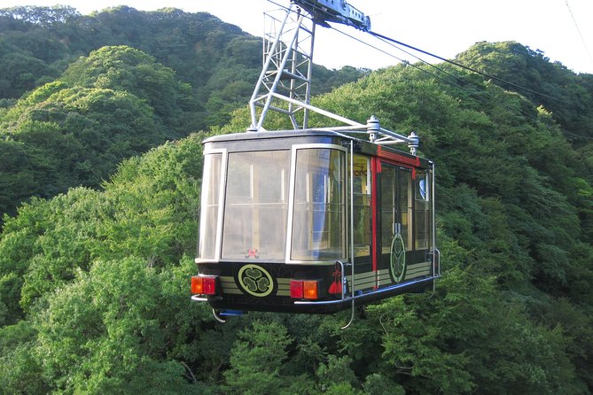 Private sightseeing tour from Shimizu Port / Van Taxi - Nihondaira Ropeway: quick ride, big views of Suruga Bay