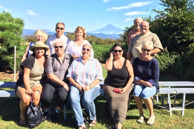 Private sightseeing tour from Shimizu Port / Van Taxi - Tea fields at Nihondaira Ochakaikan: the Fuji photo moment
