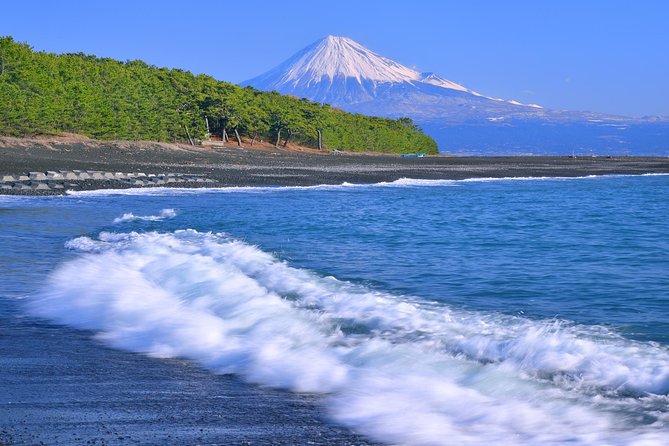 Private sightseeing tour from Shimizu Port / Van Taxi - Miho no Matsubara: UNESCO-style pine grove and black-sand beach