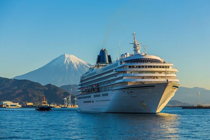 Private sightseeing tour from Shimizu Port / Van Taxi - Price and what your money buys for 4 hours