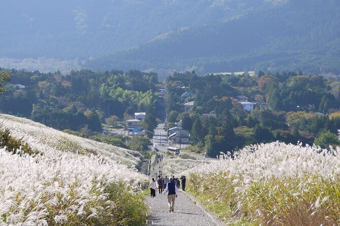 Private Tour - Hakone Day Trip! A Tour to Explore All Must-Sees! - Motohakone Pirate-Ship Cruise on Lake Ashi