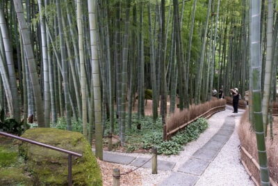 Private Tour in Kamakura: Matcha Tea Tasting & Photo Session