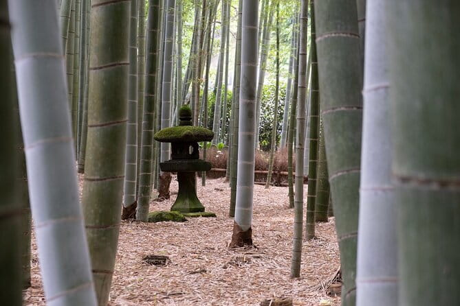 Private Tour in Kamakura: Matcha Tea Tasting & Photo Session - The matcha tea tasting is more than a side stop