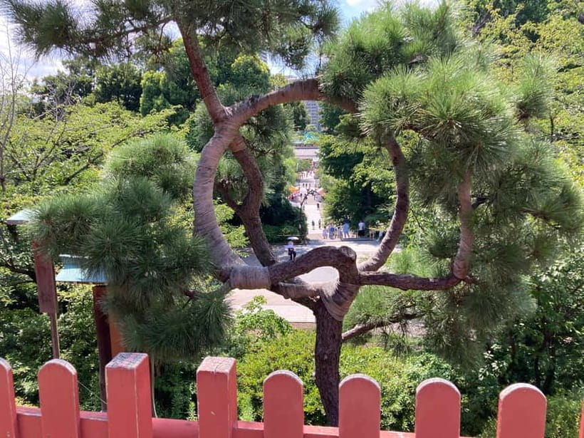 Private Tour Through the Tokyo National Museum & Ukiyo-e - Ueno Hill, Kaneiji Temple Grounds, and the Edo-to-Meiji Change