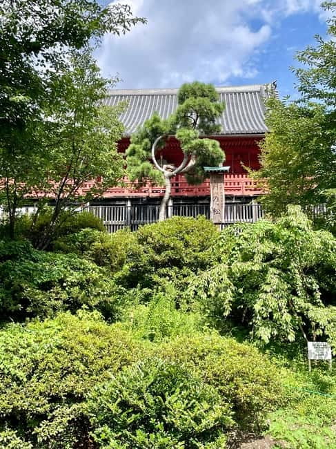 Private Tour Through the Tokyo National Museum & Ukiyo-e - Who This Tour Fits Best